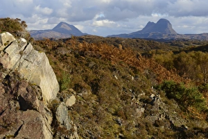 Fern Prints: Mount Suilven and Canisp, Assynt, Highlands, Scotland, United Kingdom, Europe