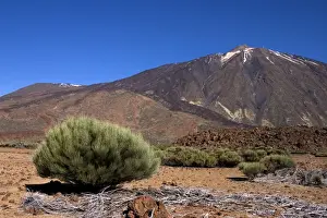 Pico Del Teide Prints: Mount Teide (Pico del Teide) from the south east outside Parador