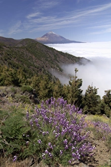 Mount Teide (Pico de Teide), Tenerife, Canary Islands, Spain