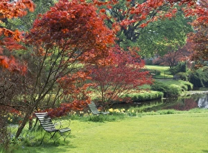 County Wicklow Prints: Mount Ushmore Gardens