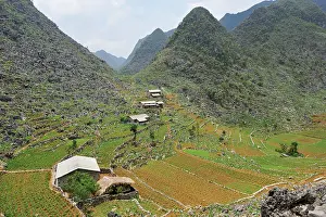 Southeast Prints: Mountain hamlet nestled in green fields on Dong Van plateau in Northern Vietnam