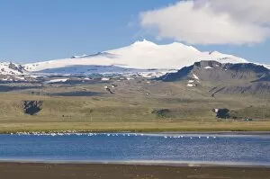 Mountain landscape with body of water and flock of birds, Snaefellsjokull National Park