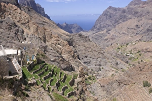 Mountain landscape of the island of San Antao with agricultural terraces Mountain landscape of the island of San Antao with agricultural terraces