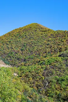 Fresh Prints: Mountain landscape in North Ossetia features lush greenery under a clear blue sky