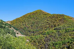 Terrain Prints: Mountain landscape showcasing greenery and hills in the Caucasus region of North Ossetia in Russia during daylight