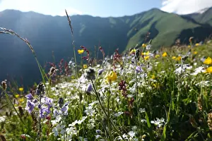 Petals Prints: Mountain landscape, Upper Khevsureti region, Georgia