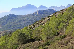 Digital Prints: Mountain peaks landscape from Coll de Rates