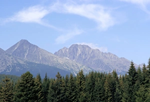 Slovak Republic Prints: Mountain pines