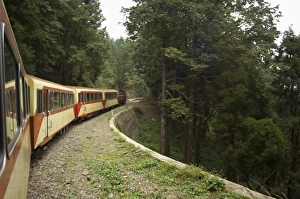 Mountain railway train to Alishan
