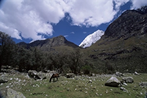 Waste Land Prints: Mountain range outside city of Huaraz