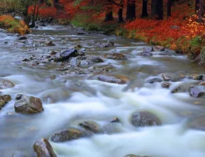 Lakeside Prints: Mountain river flowing through autumn scenery near Wastwater Lakeside in Western Lake District
