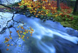 Lakeside Prints: Mountain river flows through autumn foliage near Wastwater Lakeside in the Western Lake District of Cumbria