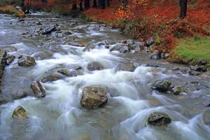 United Prints: Mountain river flows through autumn landscape near Wastwater Lakeside in Western Lake District