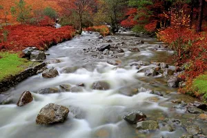 Stones Prints: Mountain river flows through autumn landscape near Wastwater Lakeside in Western Lake District