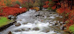 Bright Prints: Mountain river flows through autumn landscape near Wastwater Lakeside in the Western Lake District in the UK
