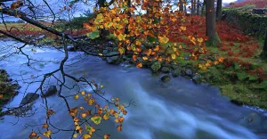Trail Prints: Mountain river flows through autumn landscape by Wastwater Lakeside in the Western Lake District in Cumbria
