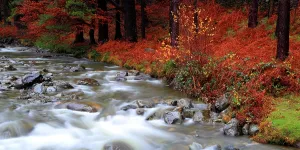 Stones Prints: Mountain river flows through autumn scenery near Wastwater Lakeside in Western Lake District