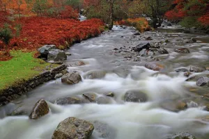 Stones Prints: Mountain river flows through autumn scenery by Wastwater Lakeside in Western Lake District in Cumbria