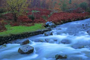 Stones Prints: Mountain river flows over rocks in autumn near lakeside in UK with colorful foliage surrounding the water and landscape