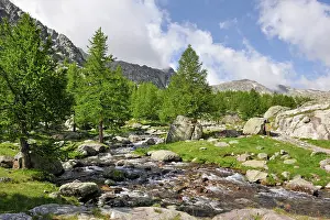 Trekking Prints: Mountain stream flows through Vallee des Merveilles in Mercantour National Park in France's Alpes-Maritimes region