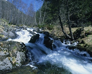 Andorra Prints: A mountain stream in La Massana in Andorra, Europe