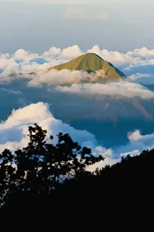 Lombok Prints: Mountain summit rising high above the clouds taken from Mount Rinjani volcano