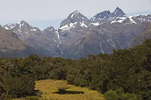 Tarn Prints: A mountain tarn and snow capped mountains on the Routeburn Track