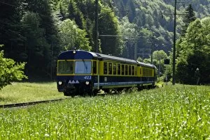 Mountain train