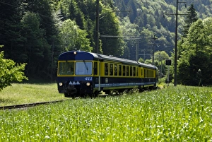 Rail Road Prints: Mountain train