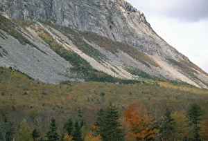 Mountain and trees in autumn (fall)