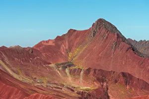 Local Flora Prints: Mountain in Valle Rojo (Red Valley)