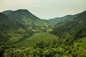 Fertile Prints: Mountainous scenery in southern Uganda, East Africa, Africa