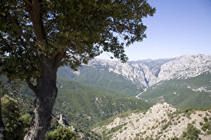 Images Dated 26th July 2007: The mountains around the Gulf of Orosei, Sardinia, Italy, Europe