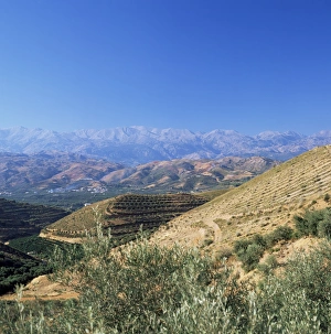 Chania Prints: Mountains near Chania