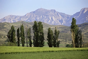 Euskadi Prints: Mountains north of Torres del Rio