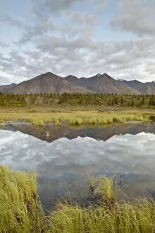 Images Dated 21st August 2009: Mountains reflected in a pond along the Denali Highway, Alaska, United States of America