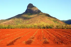 Mauritius Prints: Mountains rise over red fields in central mountains of Mauritius during daylight hours