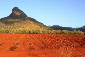 Cultivation Prints: Mountains rise above red soil fields in central Mauritius under clear blue sky
