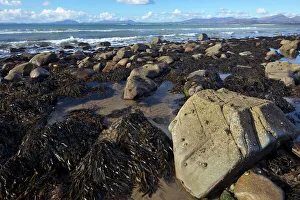 Gwynedd Prints: Mountains of Snowdonia from Llandanwg Beach, near Harlech, Gwynedd, North Wales