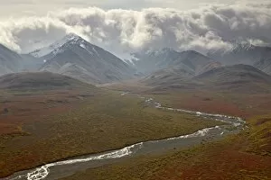 Mountains and a stream through the tundra in fall color, Denali National Park