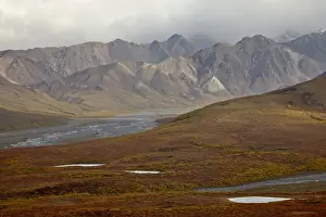 National Parks And Preserve Prints: Mountains and tundra in fall color, Denali National Park and Preserve, Alaska