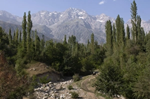 Horse Back Prints: Mountains with walnut trees, Arslanbob, Kyrgyzstan, Central Asia