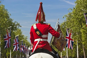 Uniform Prints: Mounted soldier of the Household Cavalry along The Mall, London, England