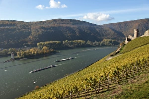 Rhine Valley Prints: Mouse Tower near Bingen, Ehrenfels Castle, Rhine Valley, Rhineland-Palatinate