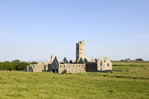 County Mayo Prints: Moyne Friary