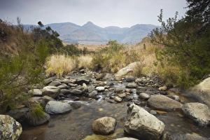 Mpofane River, Monks Cowl Nature Reserve, Ukhahlamba-Drakensberg Park