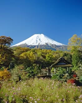 Japanese Gallery: Mt. Fuji, Japan