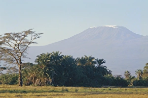 Mt. Kilimanjaro