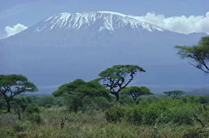 Long Shot Prints: Mt. Kilimanjaro
