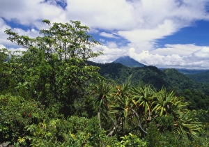 Sumatra Prints: Mt. Sinabung, Sumatra, Indonesia, Asia